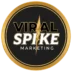 Viral Spike Marketing Team